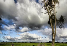 开云kaiyun官网平台 -关于里程碑夜圣安东尼奥马刺迎来里程碑，中超转会期刷纪录，目标明确，团队化学反应显著的信息