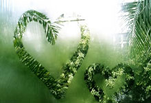 开云kaiyun官网平台 -关于里程碑夜圣安东尼奥马刺迎来里程碑，中超转会期刷纪录，目标明确，团队化学反应显著的信息