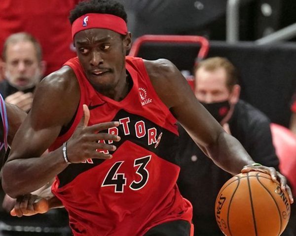 牡丹鹦鹉踩背的视频 牡丹鹦鹉踩背的视频