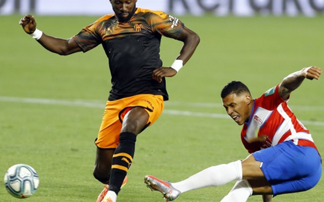 牡丹鹦鹉踩背的视频 牡丹鹦鹉踩背的视频